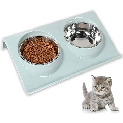 The Ultimate New Kitten Checklist Cat Bowl