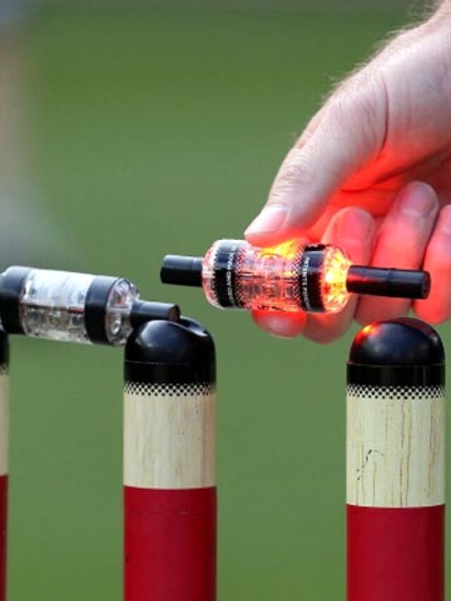 Led Stumps
