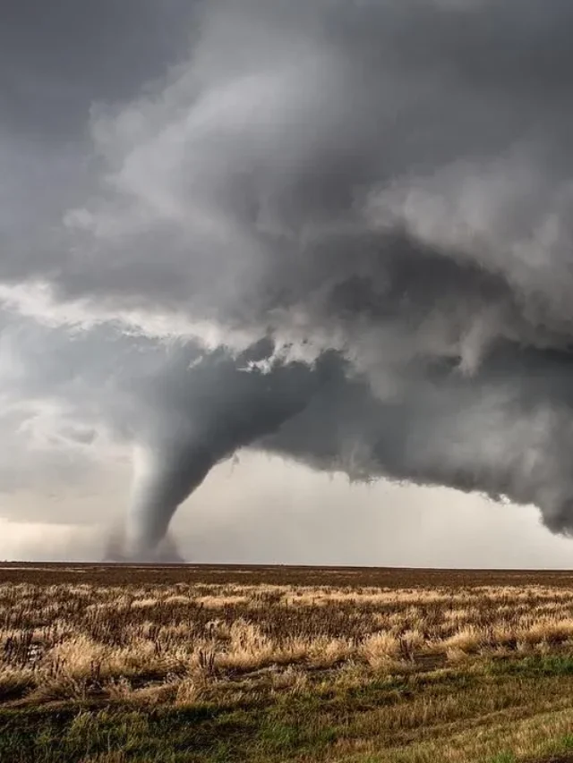 Extensive destruction caused by tornado in Texas Panhandle town