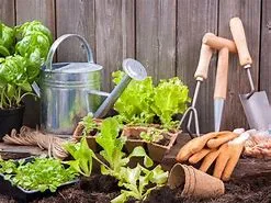 How much should a gardener charge ?
