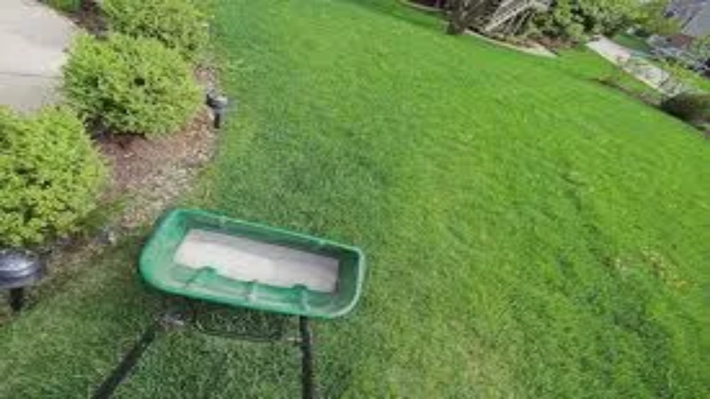 Can I use scotts turf builder starter plus weed control with over seed?
