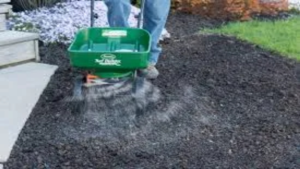 Can I use scotts turf builder starter plus weed control with over seed?