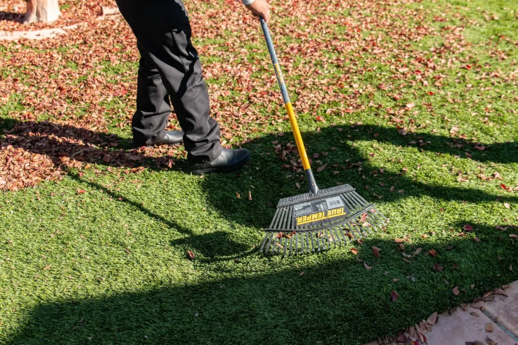 How to maintain artificial turf to keep it looking fresh?