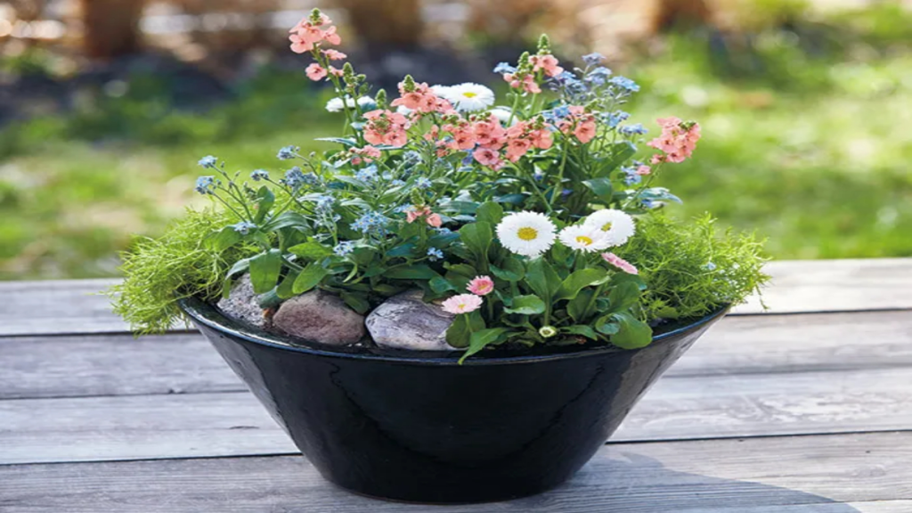 What are some popular flower pot designs?