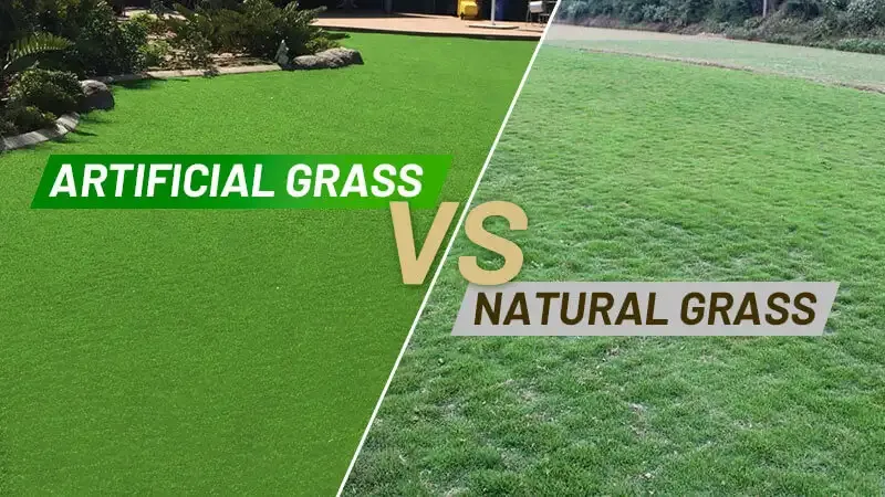 What are the differences between natural and artificial turf?