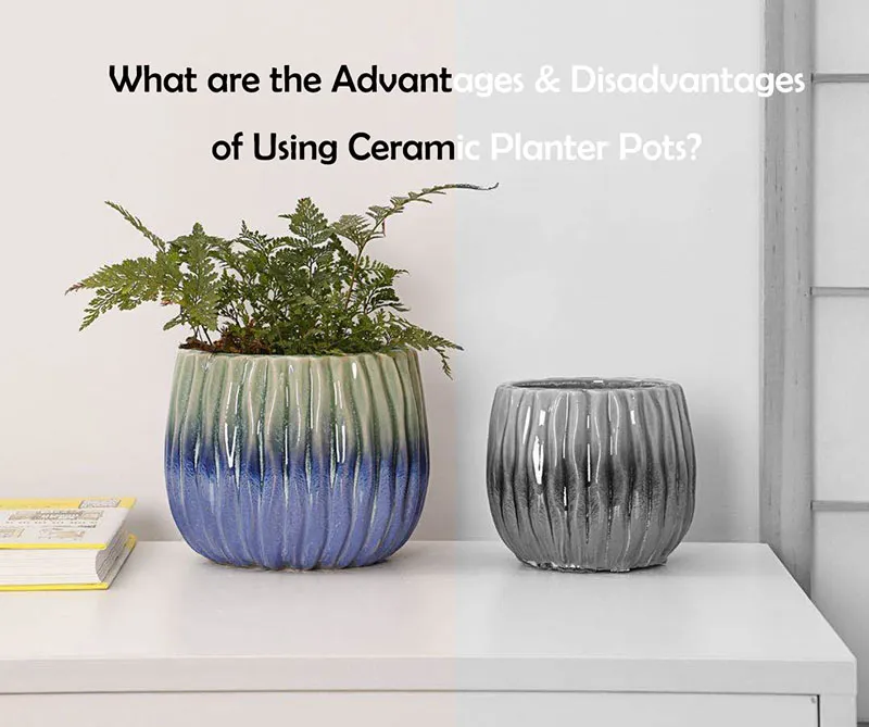 What are the disadvantages of using ceramic pots for home decor?