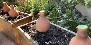 how often to water flowers in pots outside?
