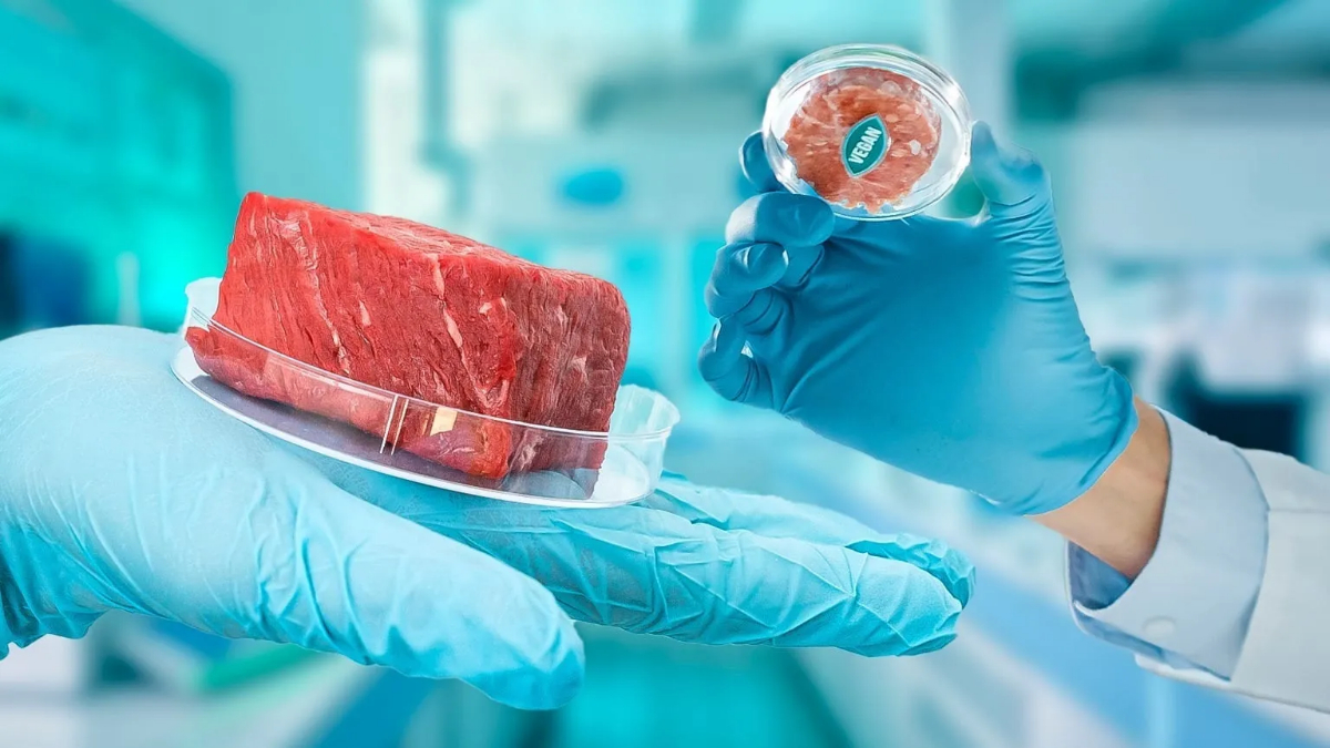 Florida bans lab-grown meat