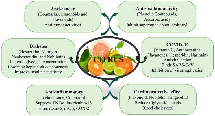 Health benefits of citrus sinensis