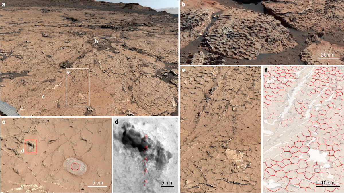 New evidence that Mars was Earth-like