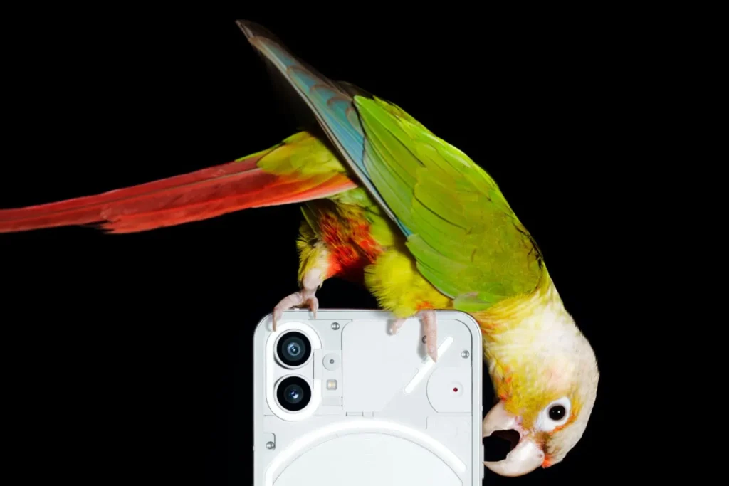 Nothing-Phone-1-white-camera-with-parrot