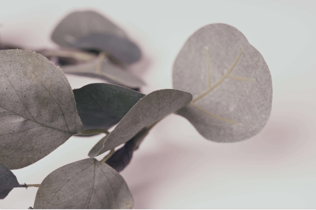 Close-up of artificial eucalyptus leaves with realistic texture and matte finish