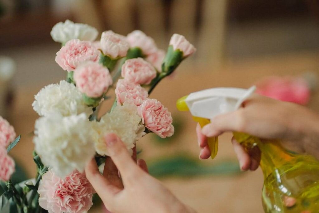Cleaning artificial flowers with gentle spray to maintain freshness and durability